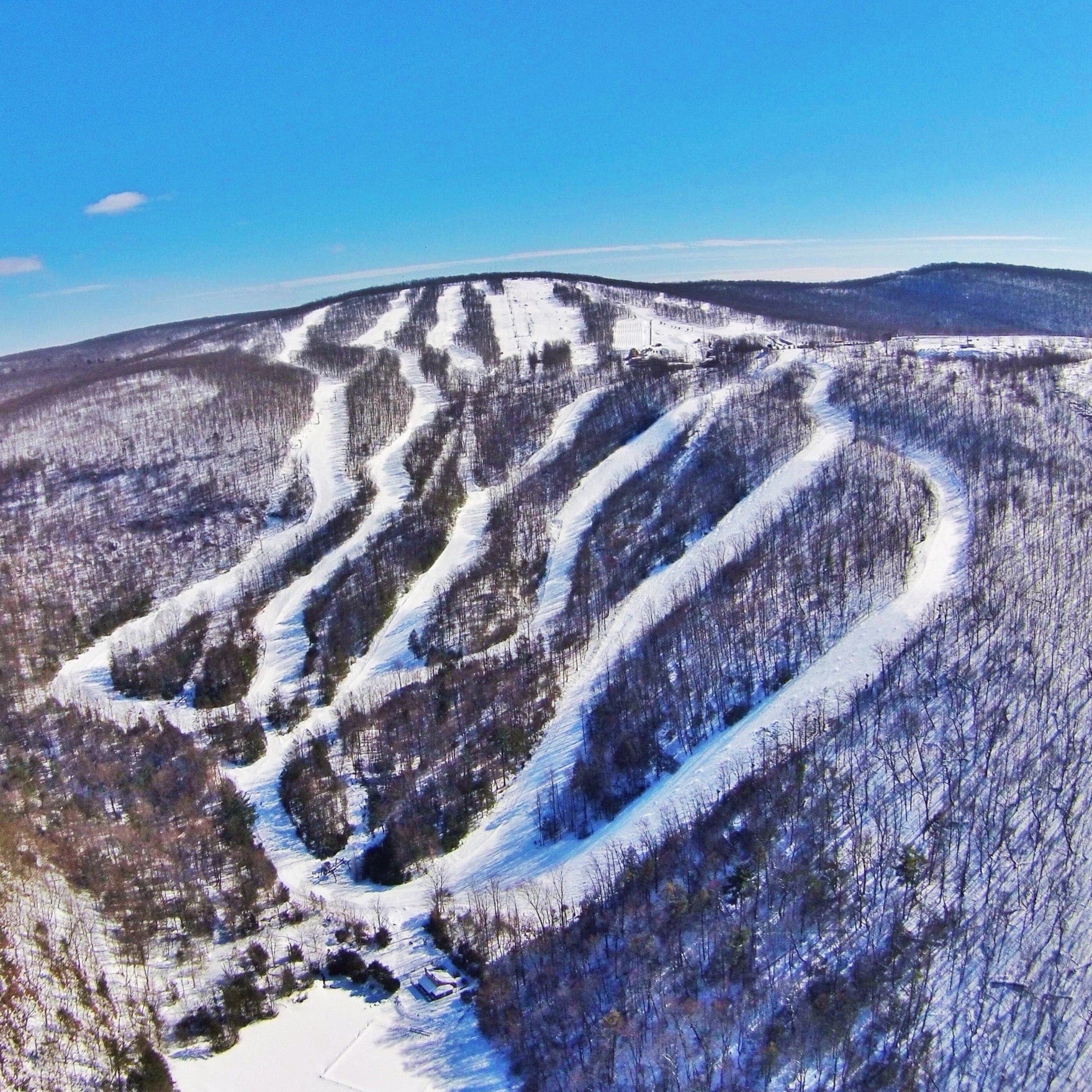 Mountainfest