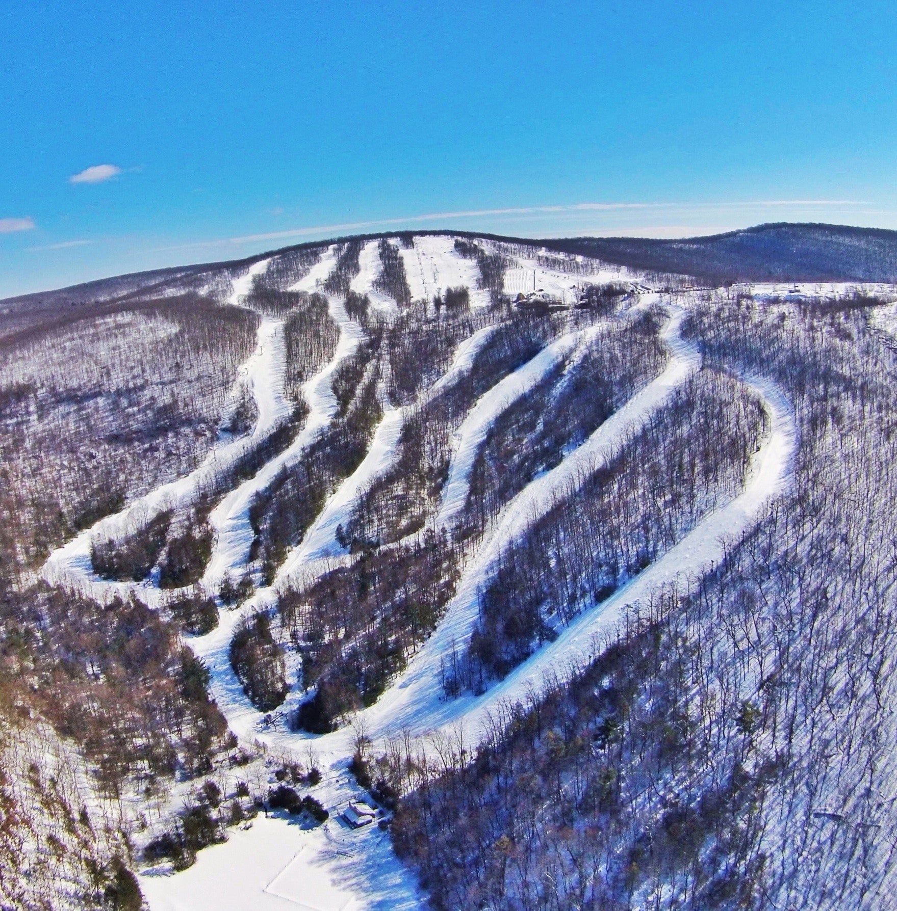 Mountainfest