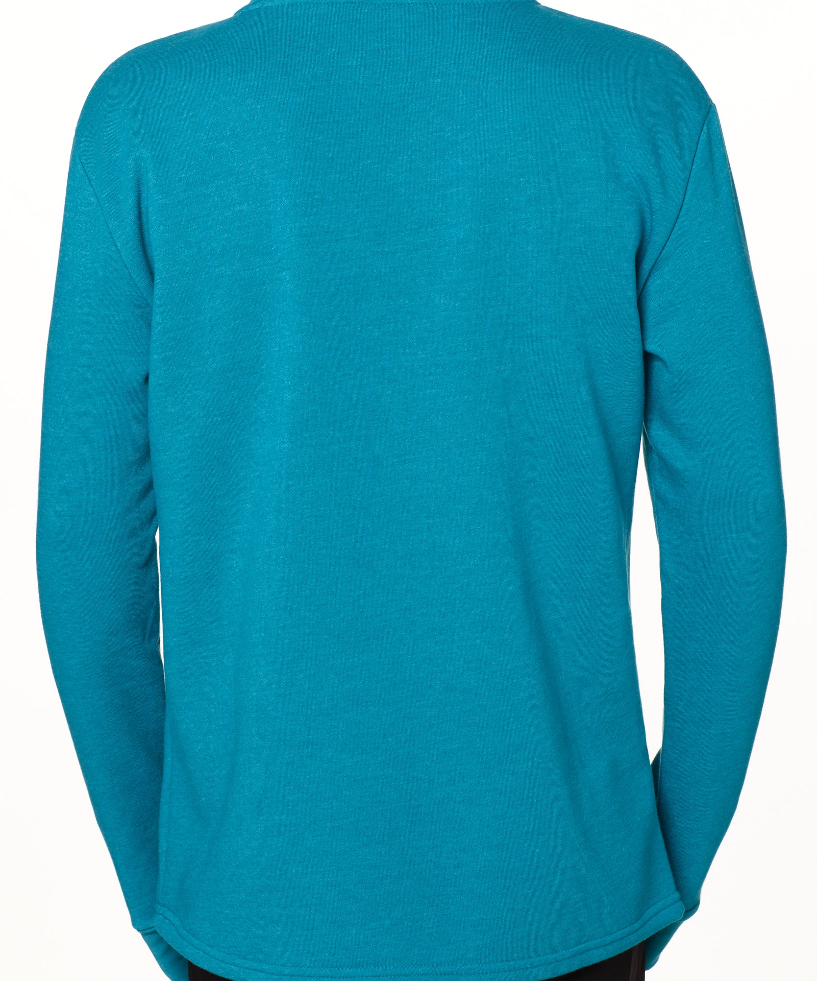 Back view of a male model wearing a heather teal hoodie on a white background