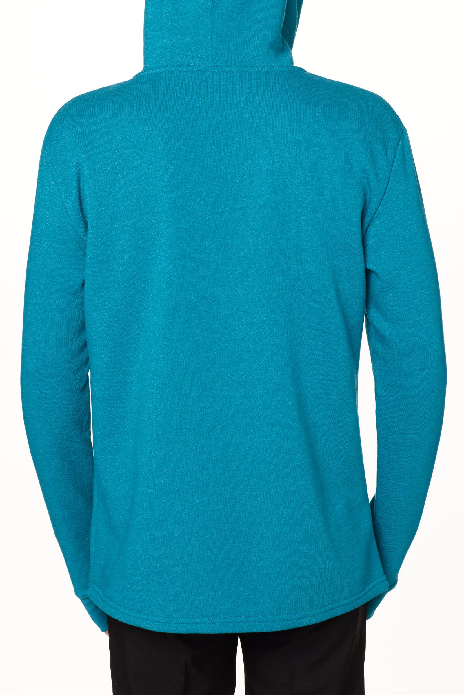 Back view of a male model wearing a heather teal hoodie on a white background