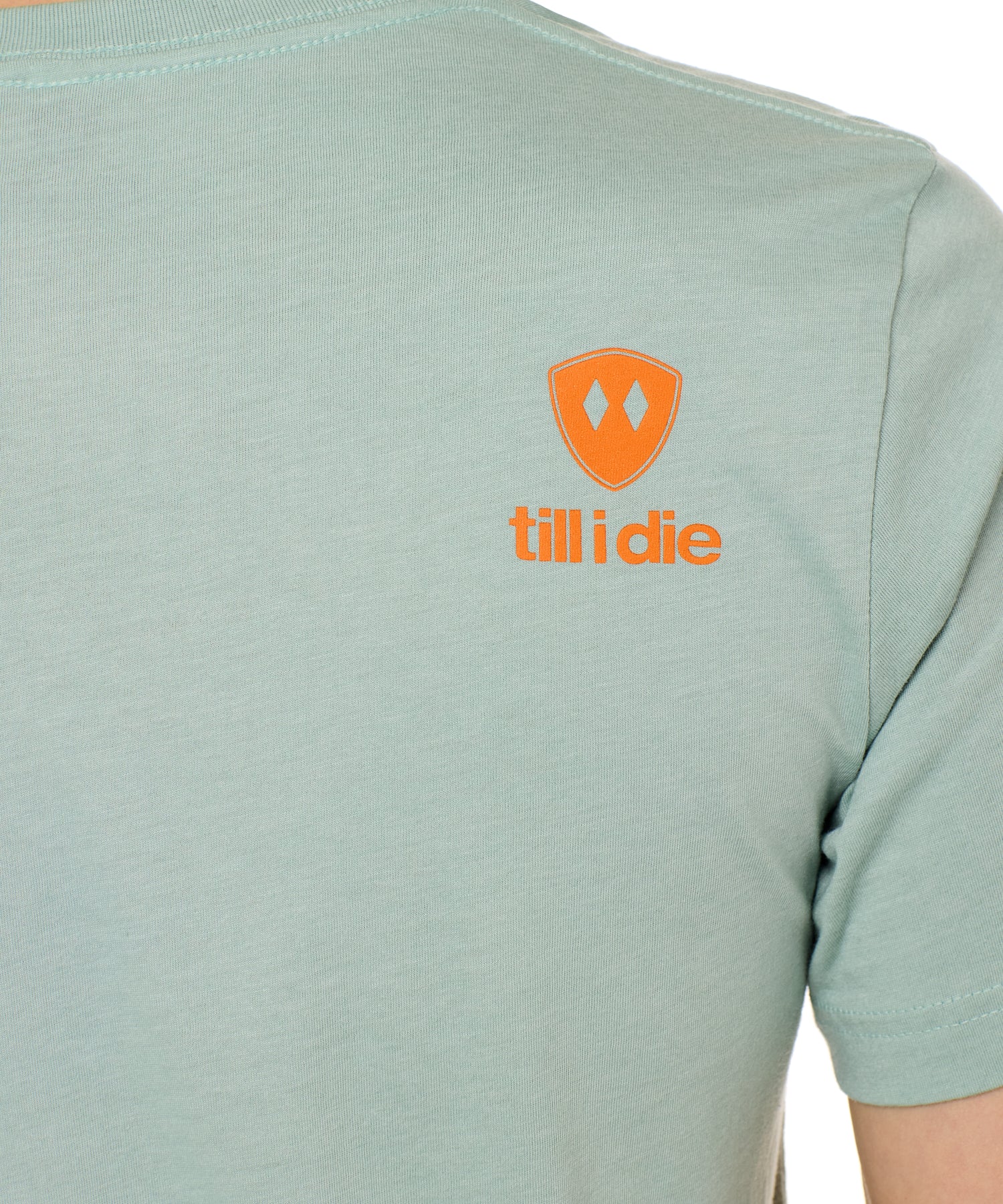 Back view of a male model wearing a Dusty blue short sleeve shirt on a white background, featuring an orange Till I Die logo on the wearer’s top right shoulder.