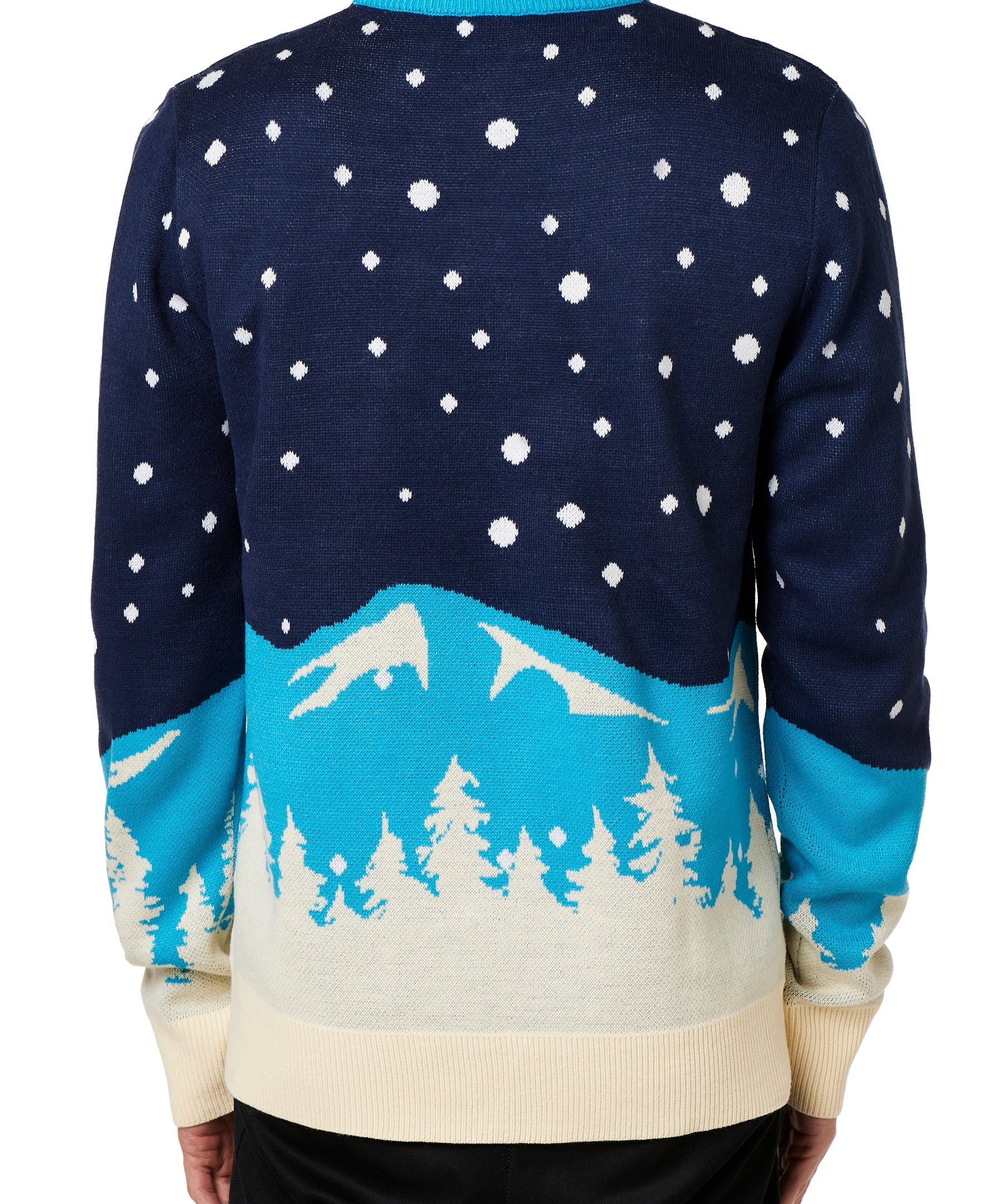 BACK OF A MALE MODEL WEARING A NAVY AND WHITE SWEATER WITH SNOWY MOUNTAIN GRAPHICS