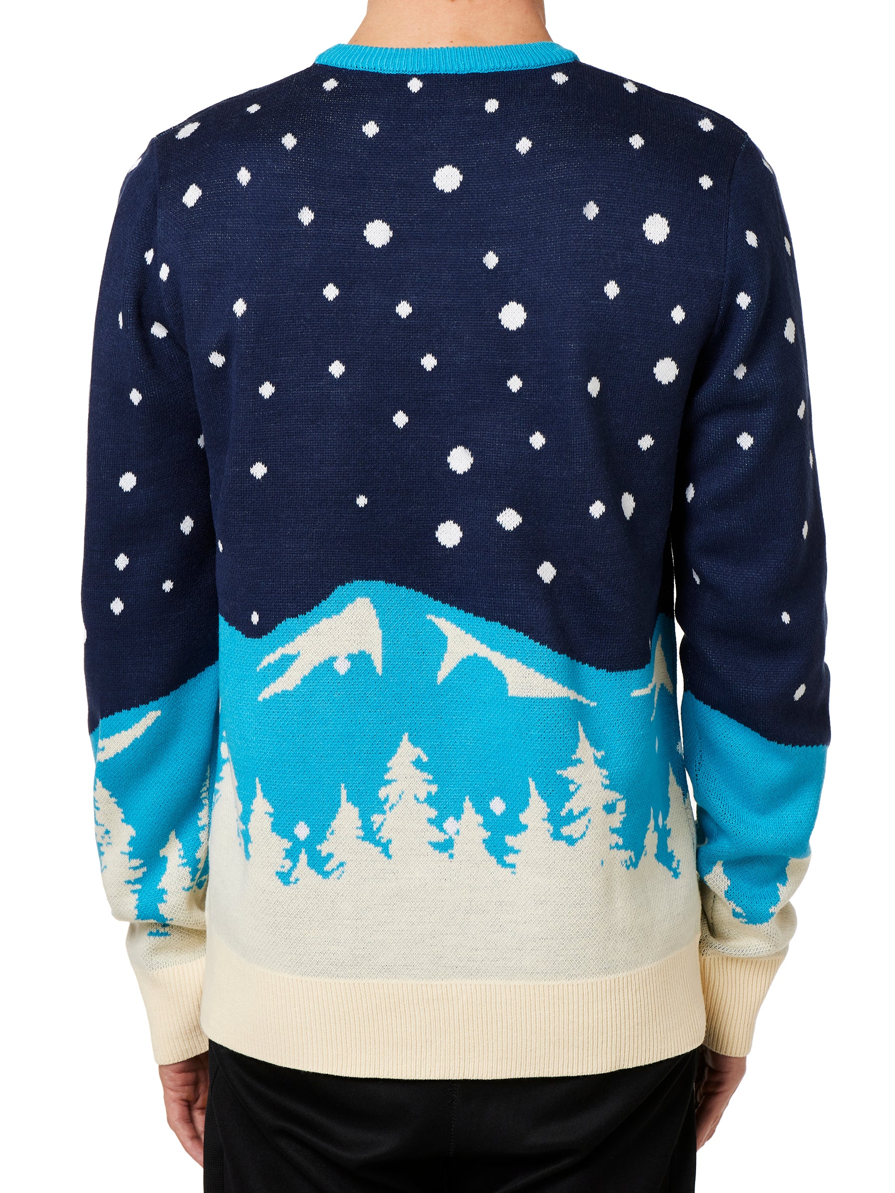 BACK OF A MALE MODEL WEARING A NAVY AND WHITE SWEATER WITH SNOWY MOUNTAIN GRAPHICS