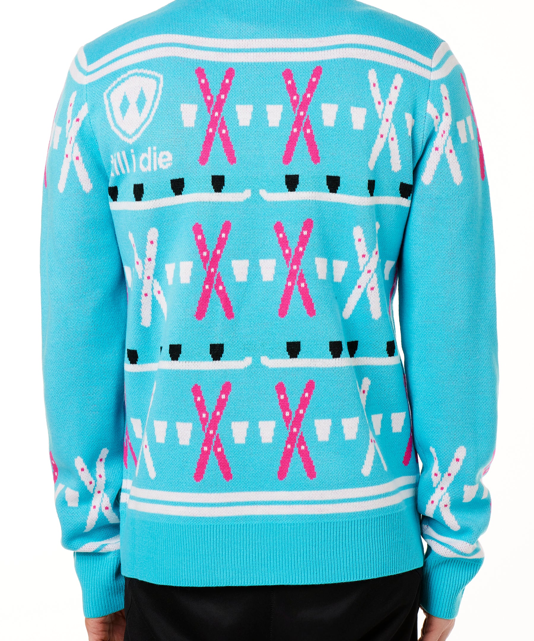 BACK OF A MALE MODEL WEARING A TEAL AND PINK SWEATER WITH SHOT SKI GRAPHICS AND THE TILL I DIE SHIELD LOGO