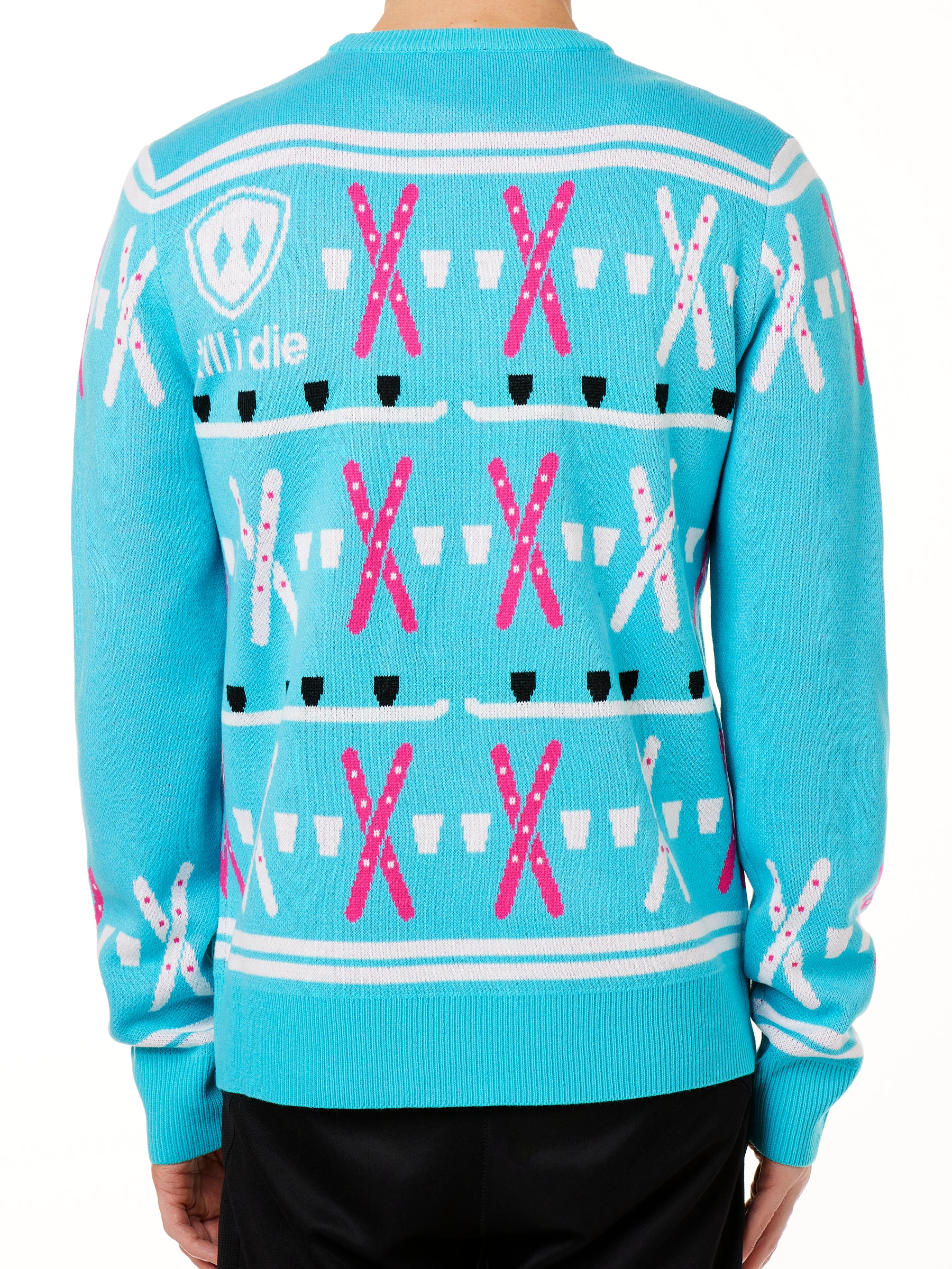 BACK OF A MALE MODEL WEARING A TEAL AND PINK SWEATER WITH SHOT SKI GRAPHICS AND THE TILL I DIE SHIELD LOGO