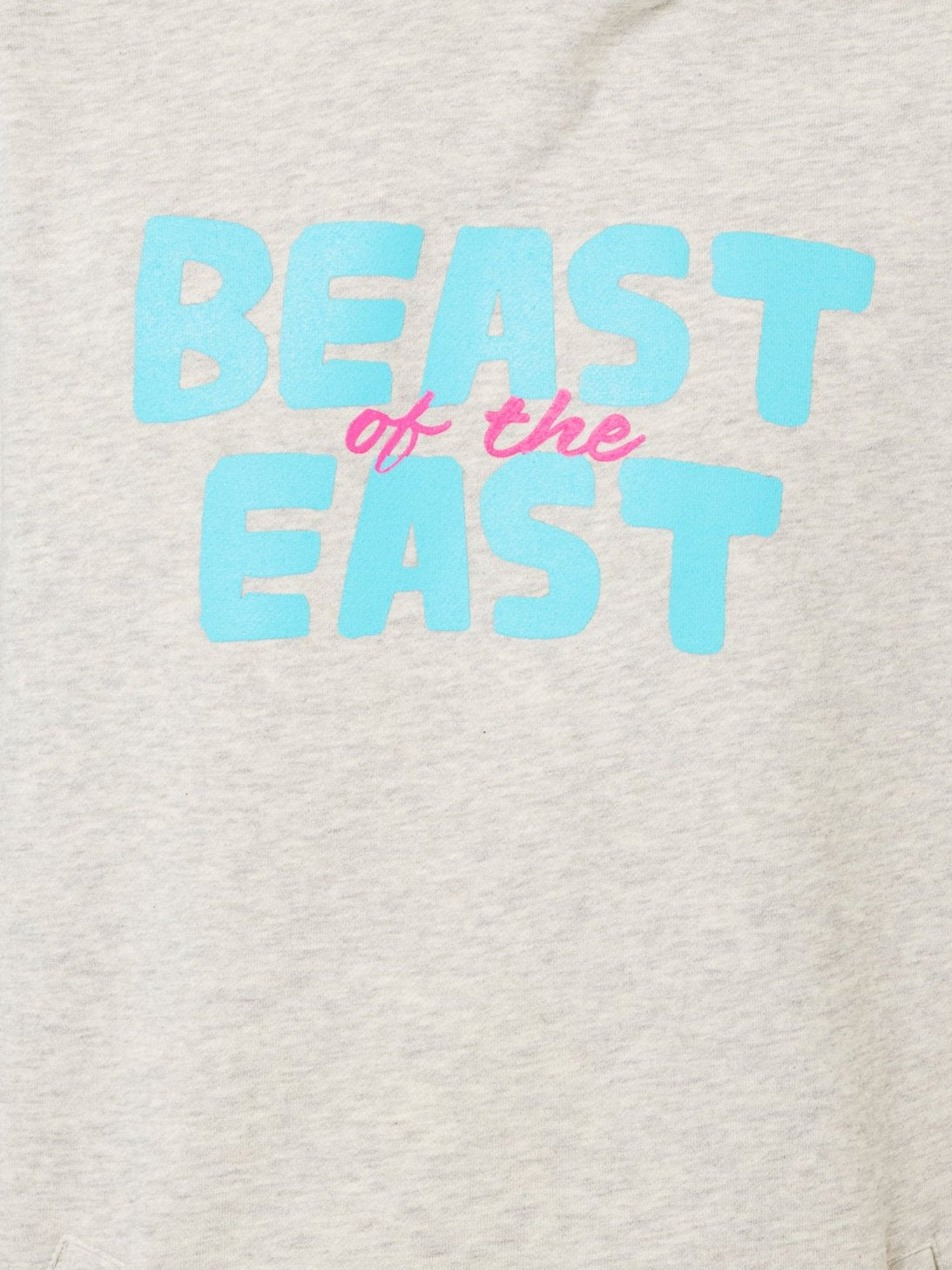 DETAIL OF THE PINK AND BLUE GRAPHIC THAT SAYS BEAST OF THE EAST