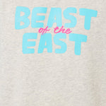 DETAIL OF THE PINK AND BLUE GRAPHIC THAT SAYS BEAST OF THE EAST