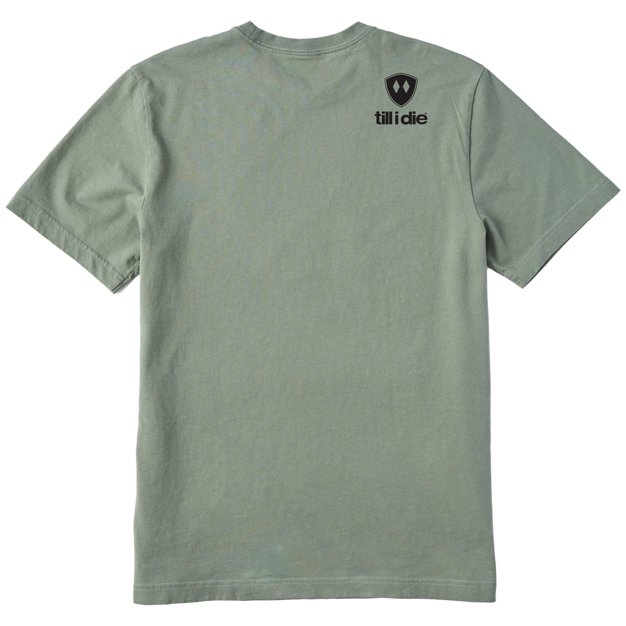 A light green short-sleeve t-shirt shown from the back, featuring a double diamond shield and the brand name 'till i die' printed on the upper right back.