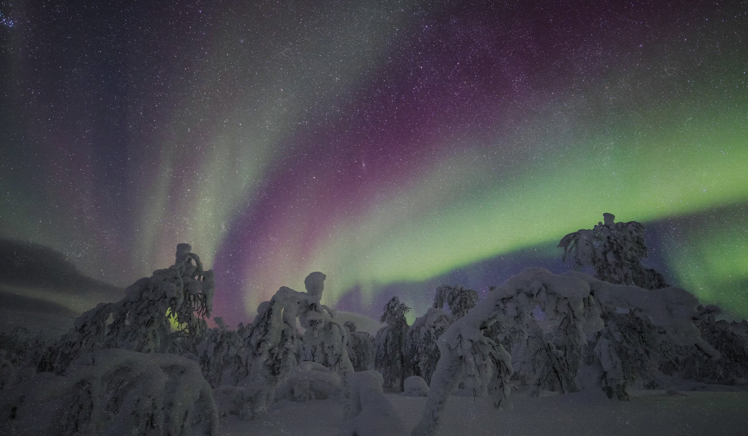 Aurora borealis over a snowy landscape with heavy snow covered trees