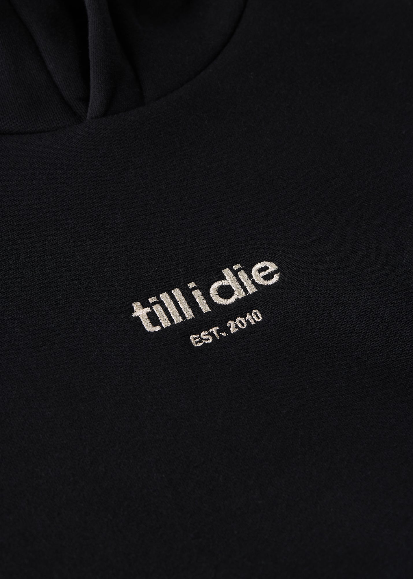 Close-up of the Silver  metallic embroidery on Snowboard Till I Die hoodie, Winter 2025