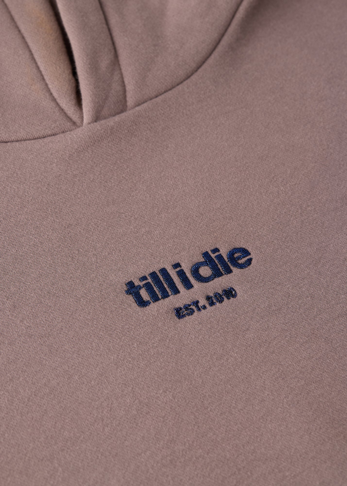 Close-up of the Sapphire metallic embroidery on Ski Till I Die hoodie, Winter 2025