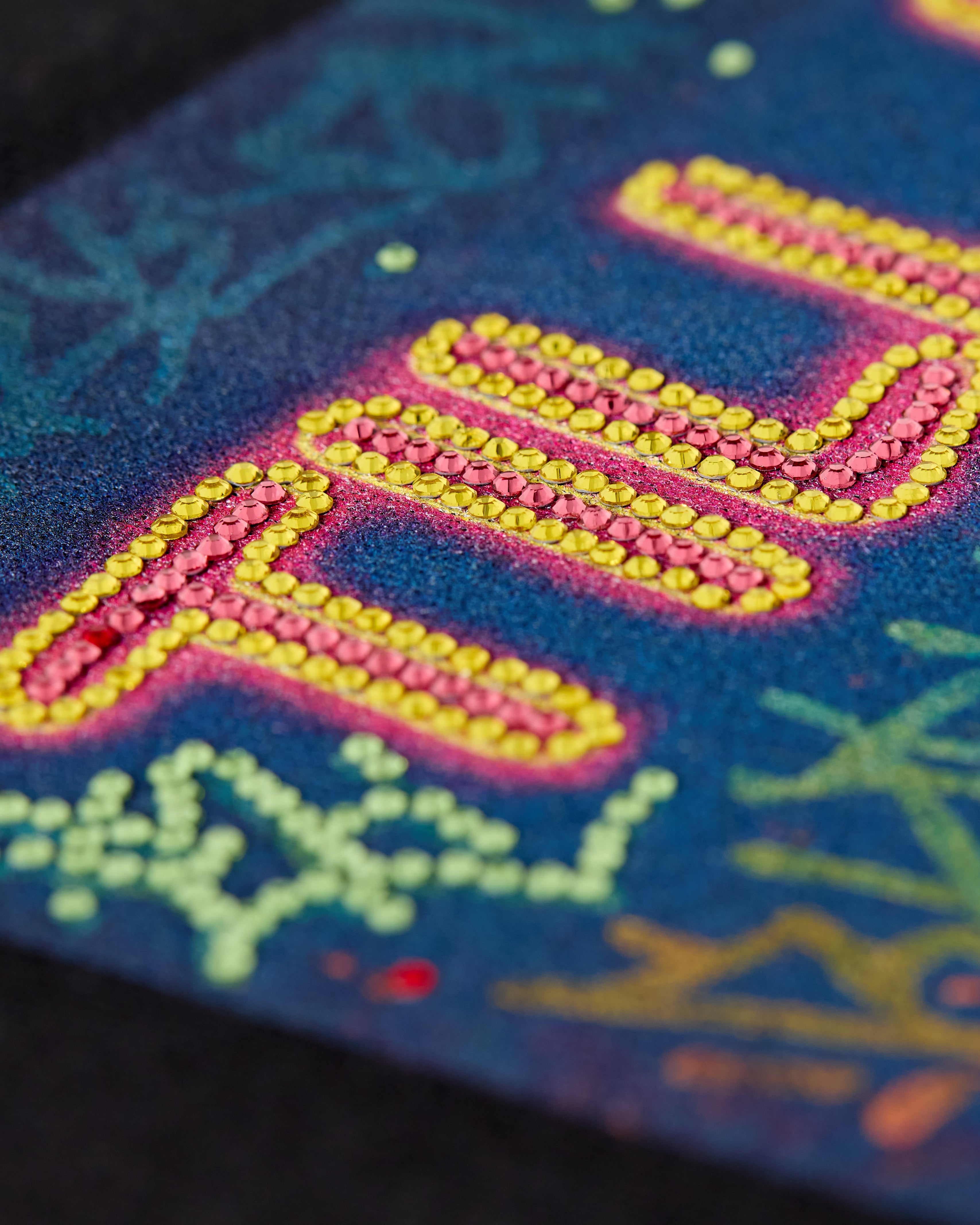 Back graphic on Snowboard Till I Die hoodie with rhinestone embellishments, Winter 2025