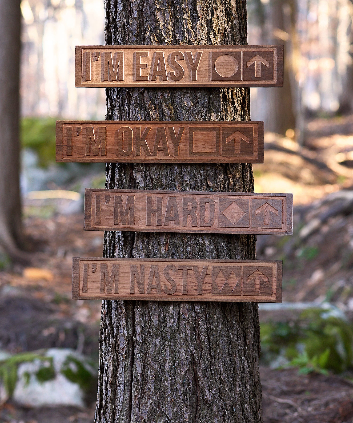 Wooded scene featuring four cherry wood-carved ski trail signs mounted on a tree. Each sign displays a different trail difficulty: “I’m Easy” with a green circle, “I’m Okay” with a blue square, “I’m Hard” with a single black diamond, and “I’m Nasty” with double black diamonds—all with arrows pointing upward.