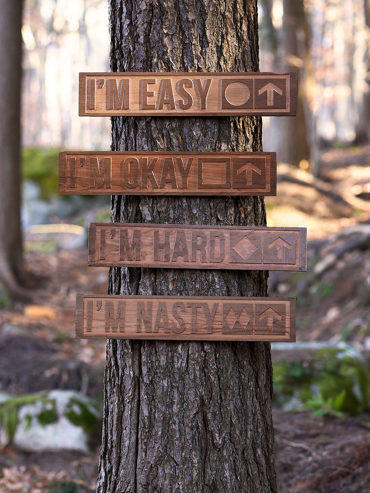 Wooded scene featuring four cherry wood-carved ski trail signs mounted on a tree. Each sign displays a different trail difficulty: “I’m Easy” with a green circle, “I’m Okay” with a blue square, “I’m Hard” with a single black diamond, and “I’m Nasty” with double black diamonds—all with arrows pointing upward.